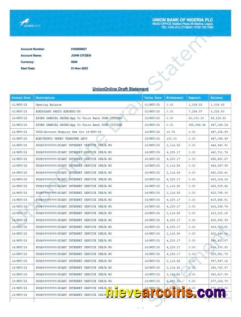 Nigeria Union Bank of Nigeria account statement Word and PDF